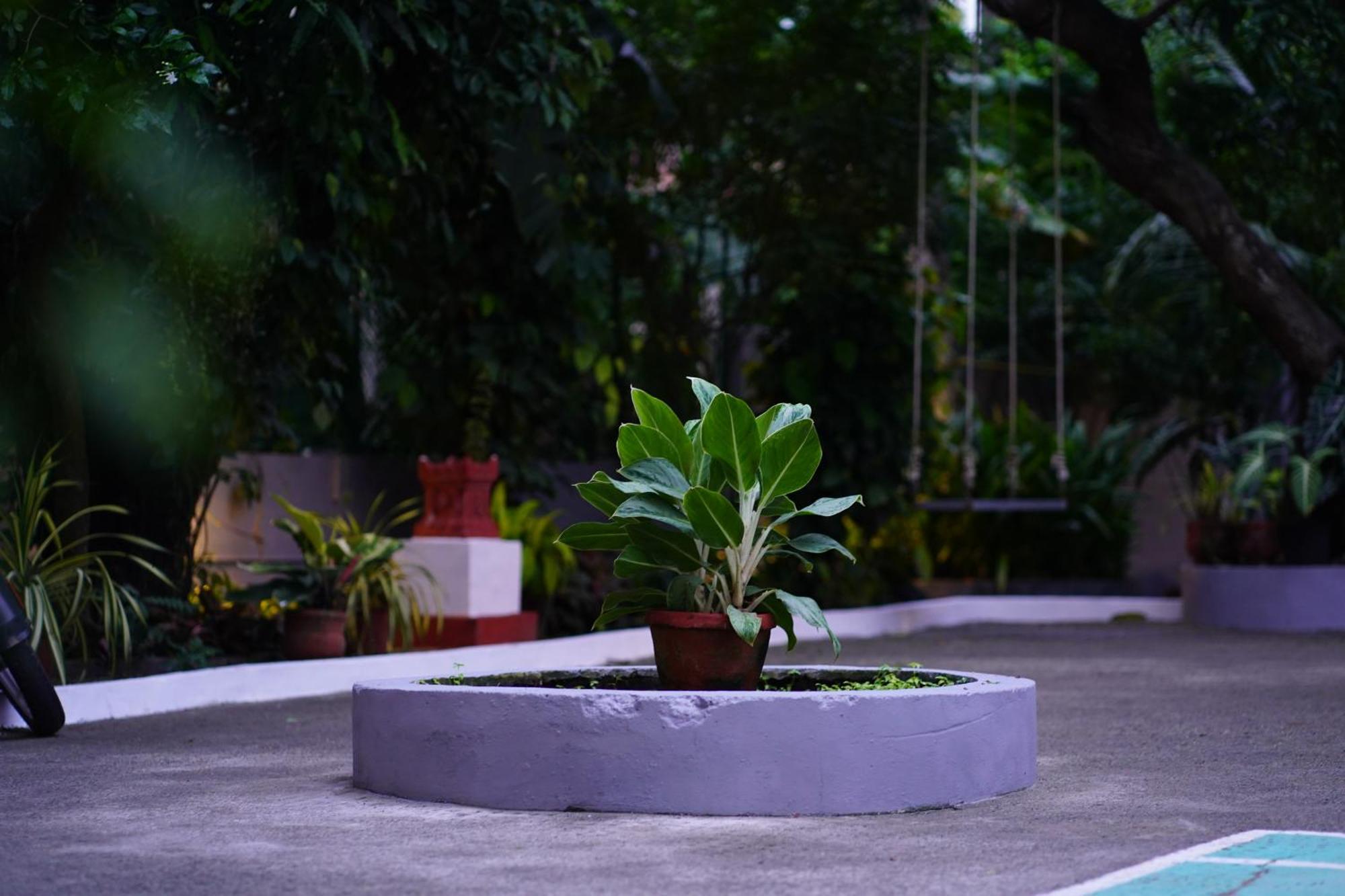Remasailam Homestay - Thiruvananthapuram , Calm & Blend With Nature Exterior foto